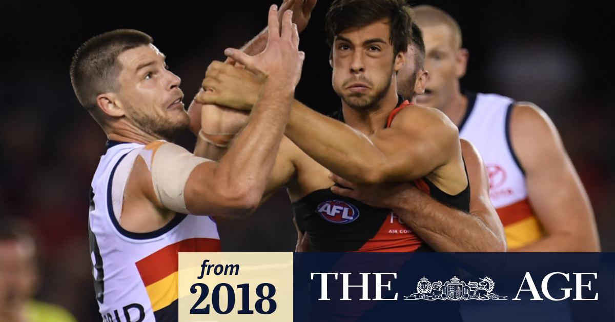 Live AFL scores Essendon v Adelaide
